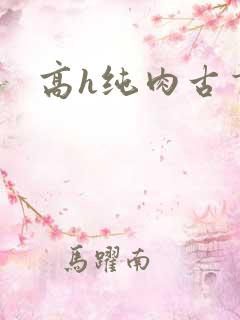 高h纯肉古言