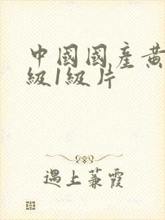 中国国产黄色特级1级片