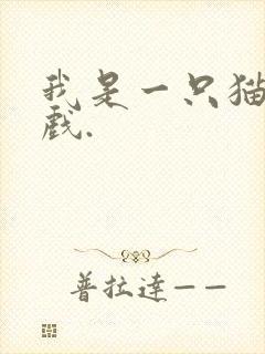 我是一只猫的游戏.