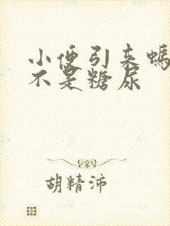 小便引来蚂蚁是不是糖尿