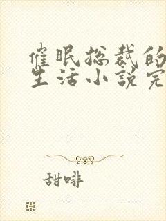 催眠总裁的幸福生活小说完整版