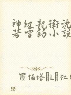 神级龙卫沈浪苏若雪的小说