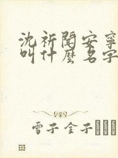 沈祈闻安宁小说叫什么名字