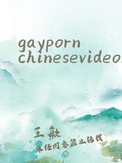 gaypornchinesevideos