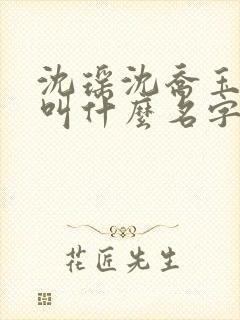 沈瑶沈乔玉小说叫什么名字