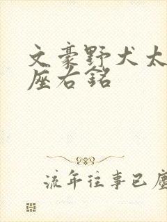 文豪野犬太宰治座右铭