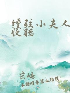 续弦小夫人全文收听