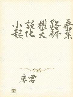 小说权路乘风而起化天骄叶阳在线阅读