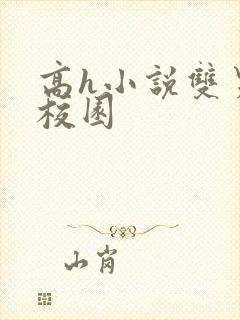 高h小说双男主校园