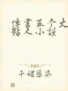 传书五个大佬太粘人小说