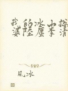 我的冰山总裁老婆陆尘李清瑶