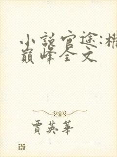 小说官途:权力巅峰全文