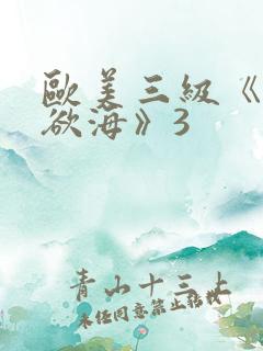 欧美三级《纵情欲海》3