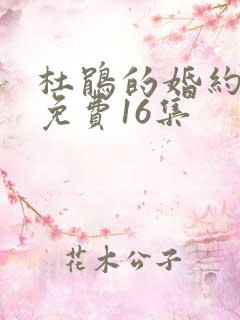 杜鹃的婚约漫画免费16集