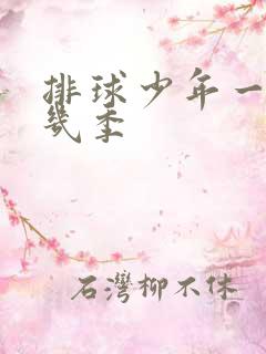 排球少年一共有几季