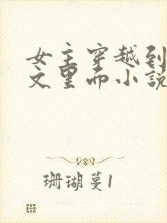 女主穿越到末世文里面小说