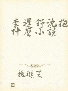 李迟舒沈抱山是什么小说