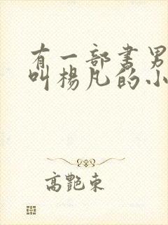 有一部书男主角叫杨凡的小说