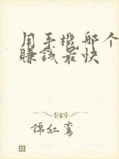 用手机哪个软件赚钱最快