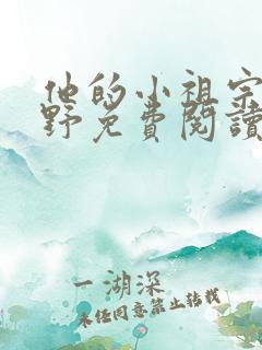 他的小祖宗甜又野免费阅读txt