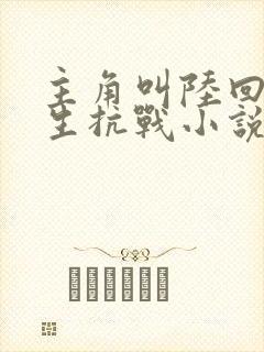 主角叫陆回的重生抗战小说