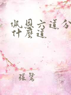 佩恩六道分别是什么道