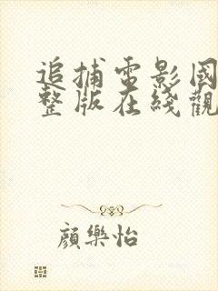 追捕电影国语完整版在线观看免费