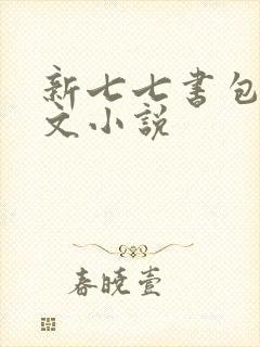新七七书包网辣文小说