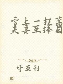 雪上一枝蒿纨绔夫妻互捧日常