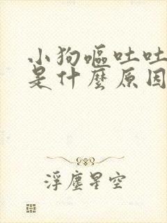 小狗呕吐吐白沫是什么原因