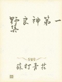 野良神第一季全集