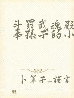 斗罗武魂殿二供奉孙子的小说