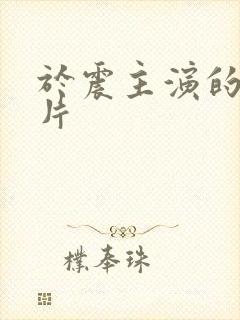 于震主演的谍战片