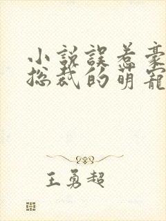 小说误惹豪门,总裁的萌宠新娘小说