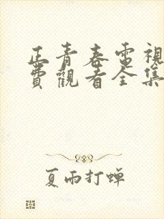 正青春电视剧免费观看全集西瓜