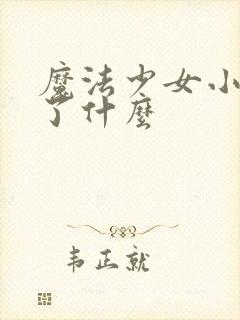 魔法少女小圆讲了什么