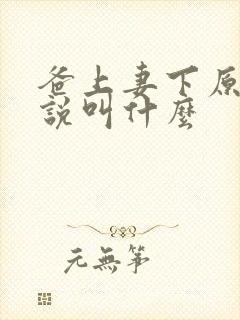 爸上妻下原著小说叫什么