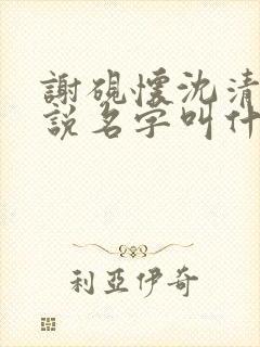 谢砚怀沈清筠小说名字叫什么