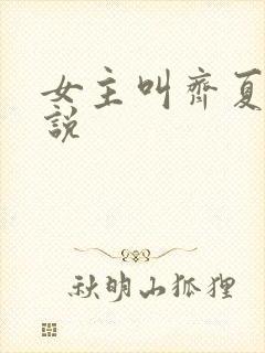 女主叫齐夏的小说