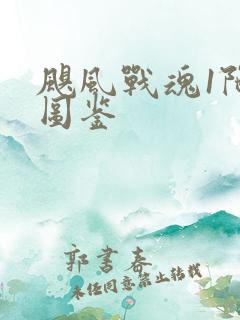 飓风战魂1陀螺图鉴