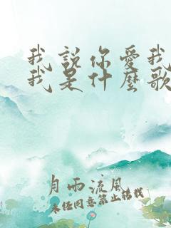 我说你爱我你想我是什么歌