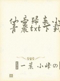 仙帝归来小说云青岩txt下载