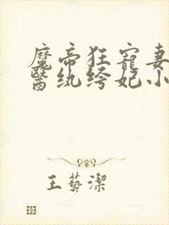 魔帝狂宠妻 神医纨绔妃小说