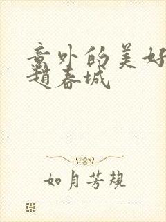 意外的美好苏媚赵春城