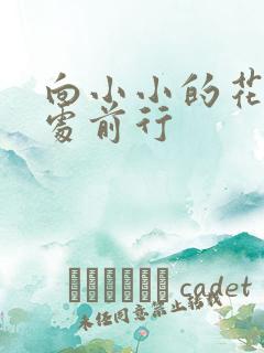 向小小的花蕾深处前行