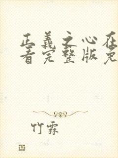 正义之心在线观看完整版免费观看