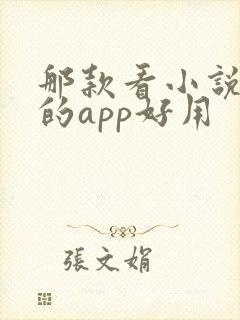 那款看小说免费的app好用