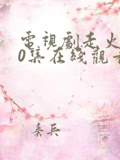 电视剧走火第40集在线观看