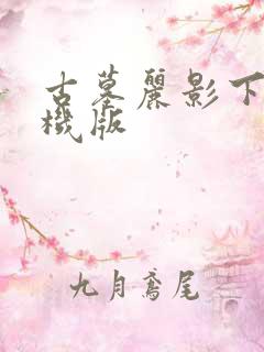 古墓丽影下载手机版