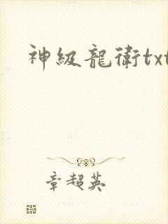 神级龙卫txt